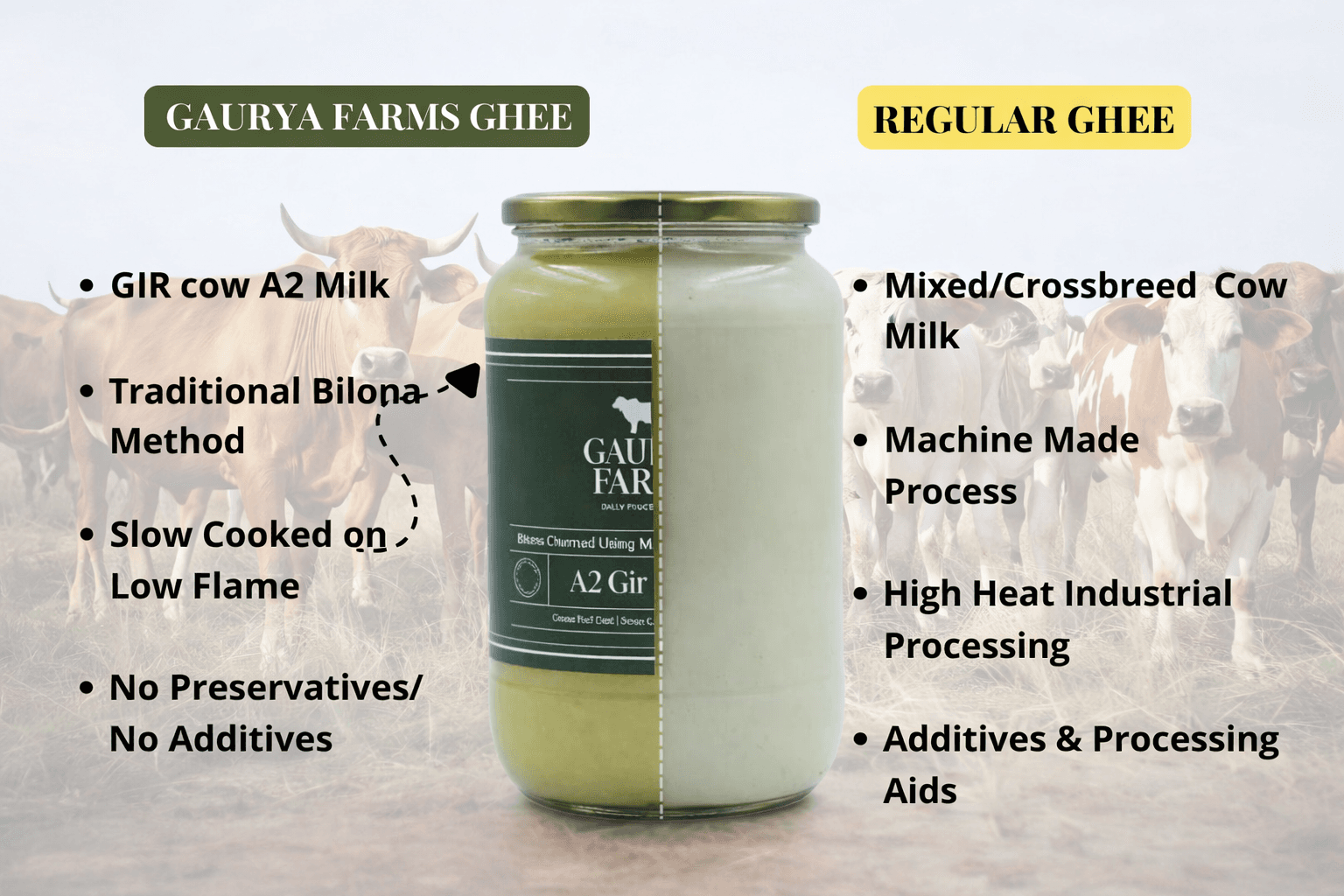 Gaurya Farms Ghee vs Regular Ghee — GIR A2, Bilona, slow-cooked vs regular ghee