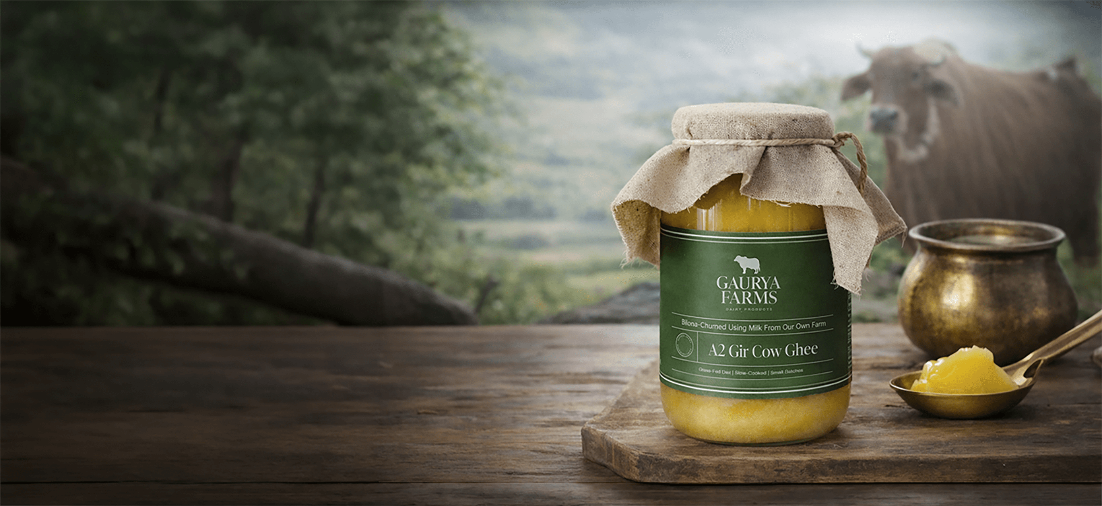 A2 Bilona GIR Cow Ghee