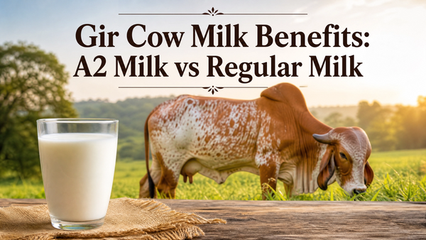Gir Cow Milk Benefits