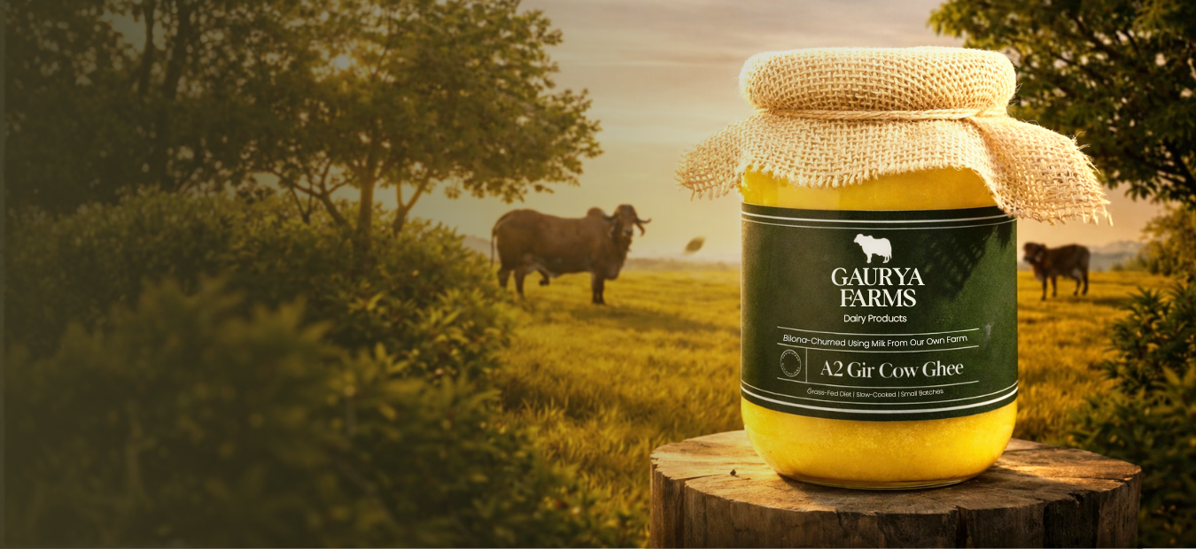 A2 Bilona GIR Cow Ghee