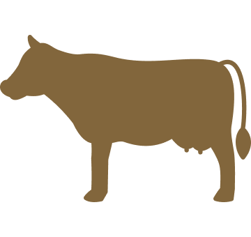 A2 GIR Cow Milk